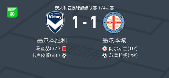 树干光滑且